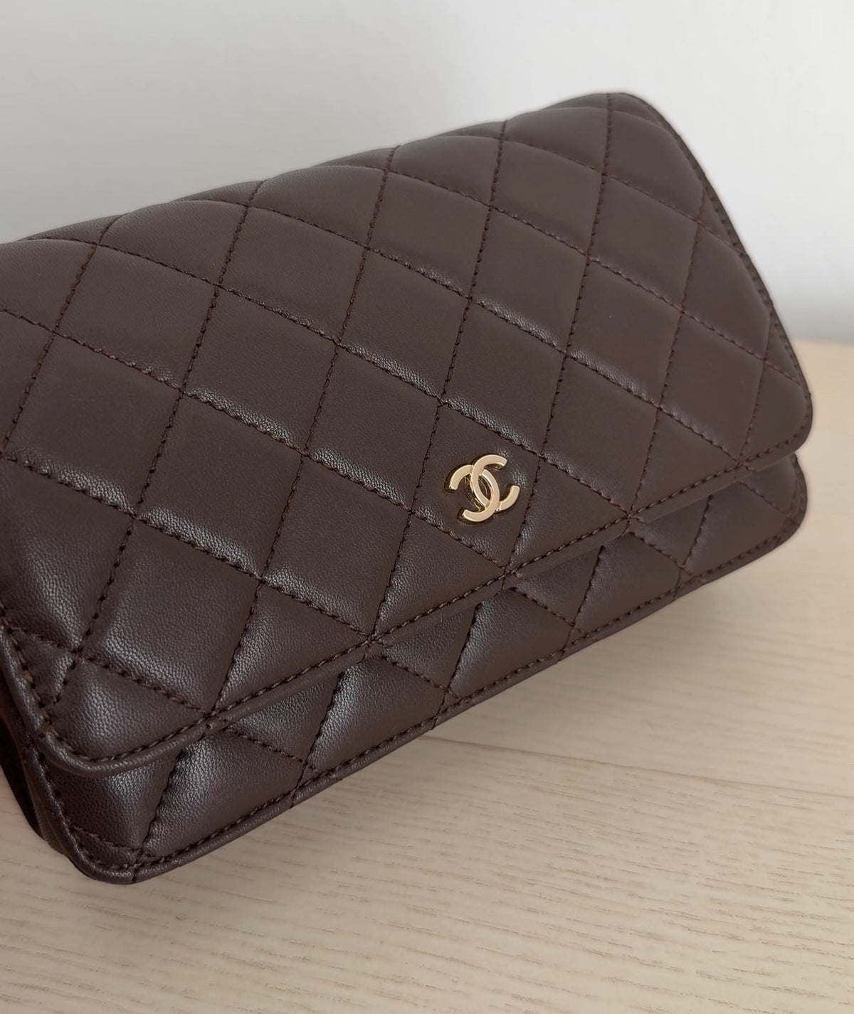 Brown Purse