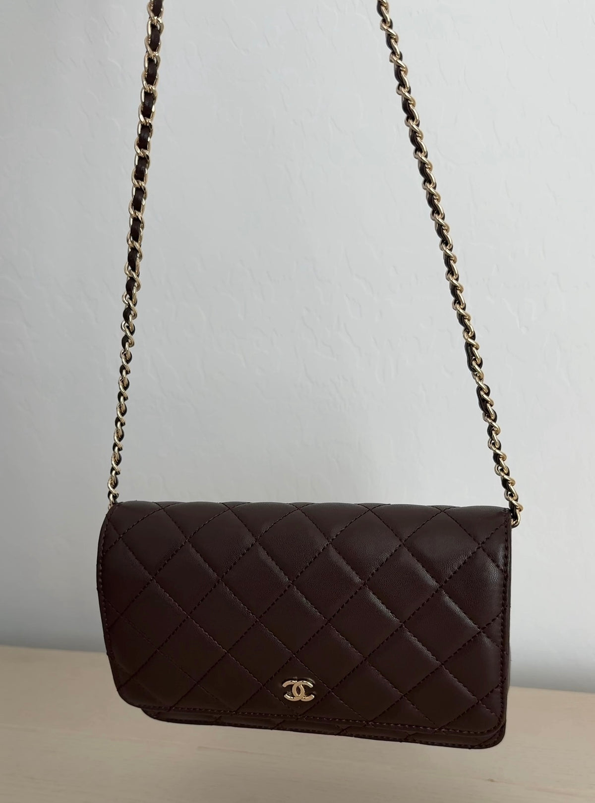 Brown Purse