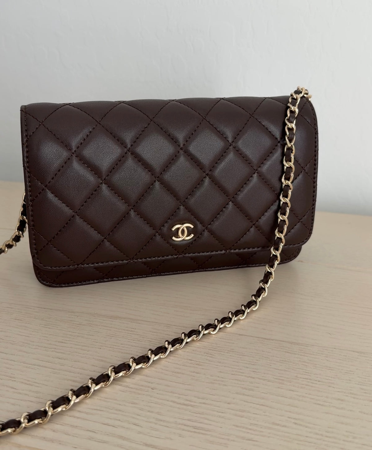 Brown Purse