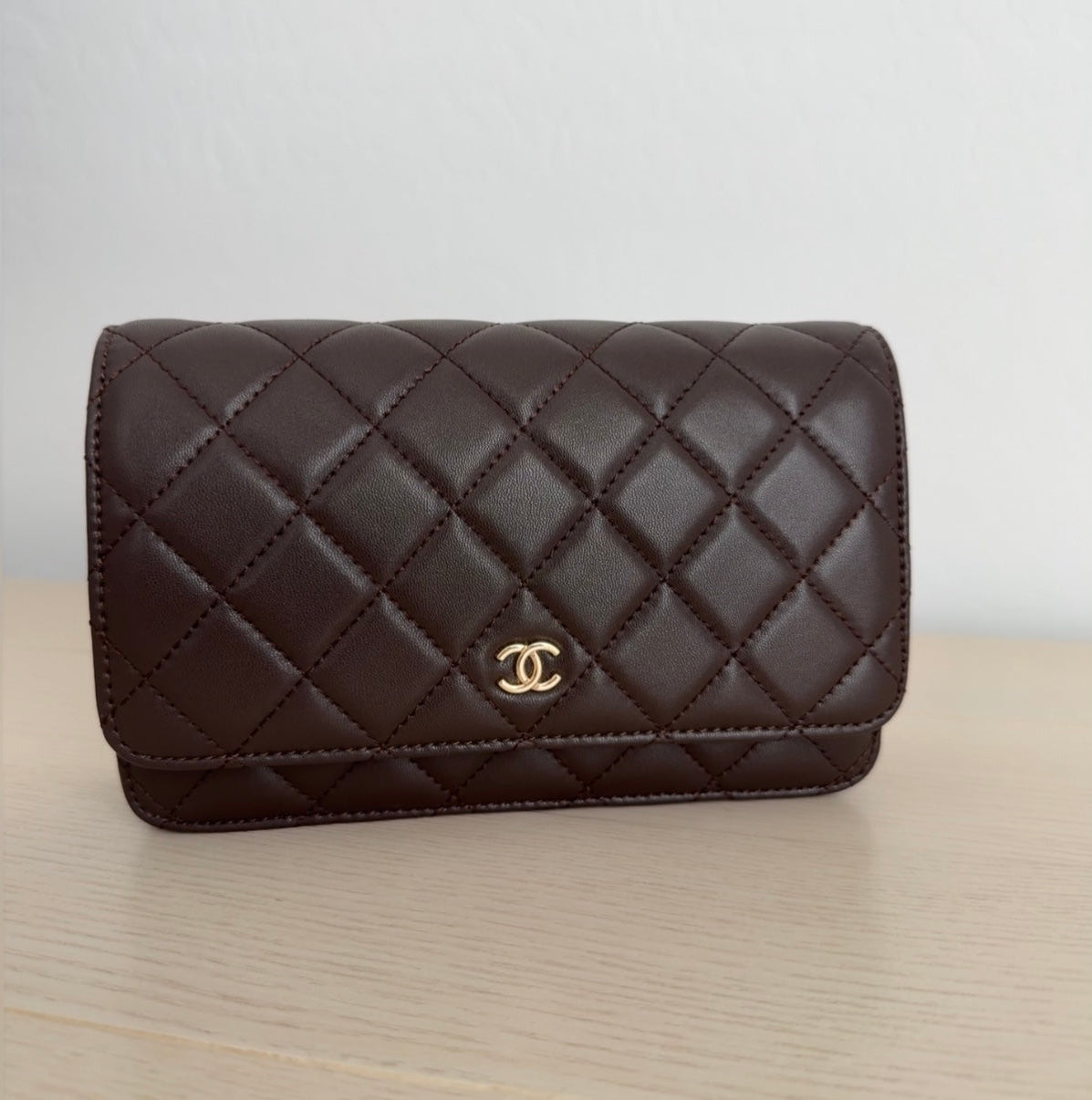 Brown Purse